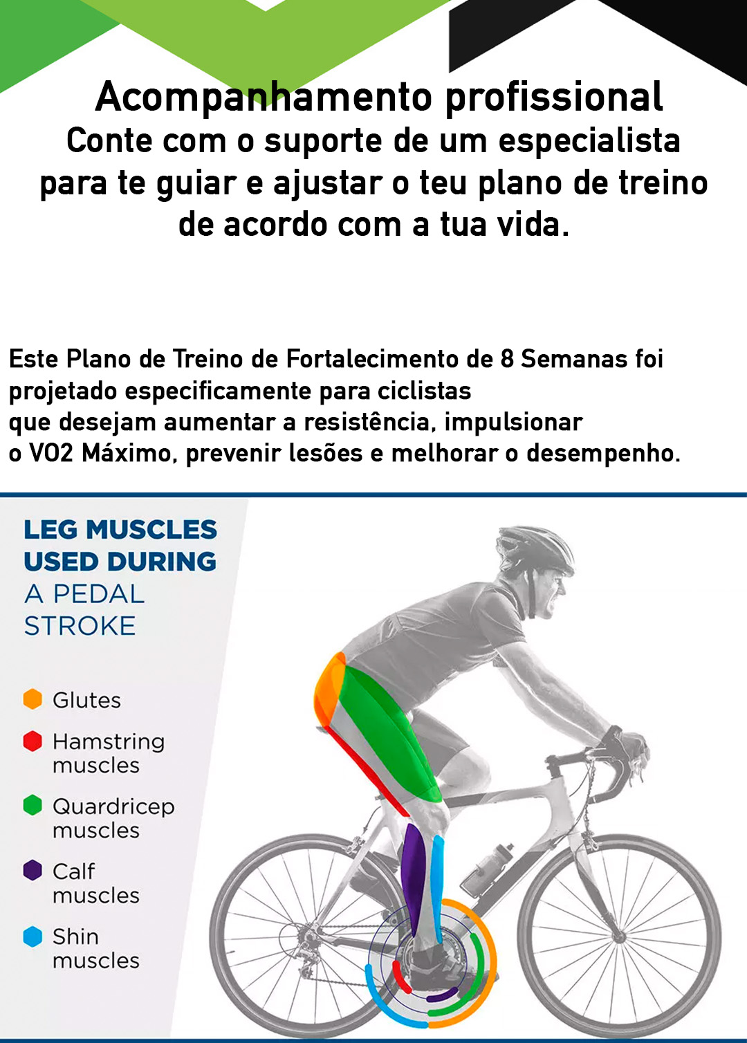 Sem Resultados